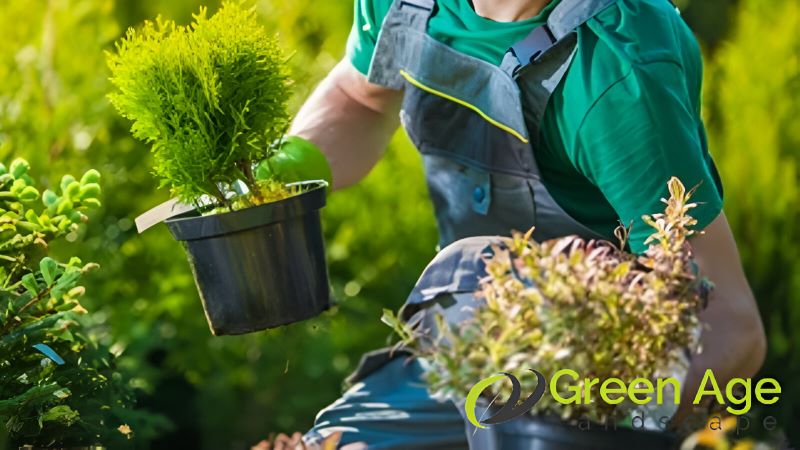 featured-what-affects-the-cost-of-professional-gardening-services-in-singapore-gardening-services-greenage-landscaping-services-singapore