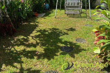 garden-maintenance-greenage-landscaping-services-singapore-landed-serangoon-1