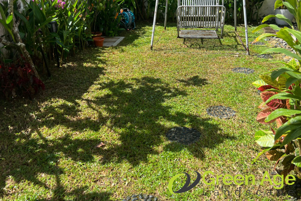 garden-maintenance-greenage-landscaping-services-singapore-landed-serangoon-1