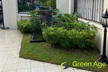 grass-cutting-services-greenage-landscaping-services-singapore-landed-east-coast-1_wm