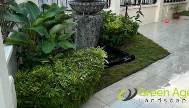 grass-cutting-services-greenage-landscaping-services-singapore-landed-east-coast-6