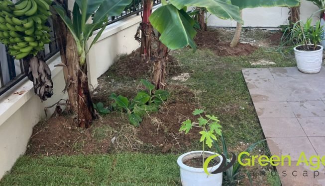 grass-cutting-services-greenage-landscaping-services-singapore-landed-east-coast-7