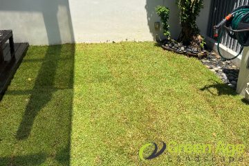 grass-planting-greenage-landscaping-services-singapore-landed-east-coast-1