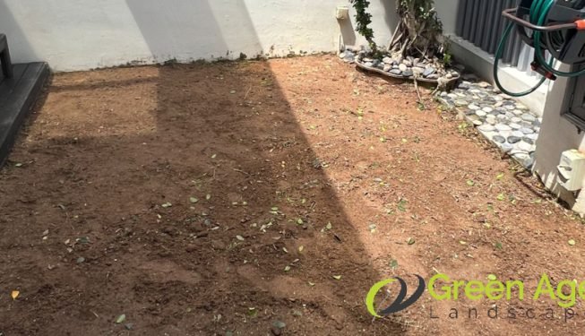 grass-planting-greenage-landscaping-services-singapore-landed-east-coast-2