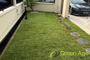 grass-turfing-greenage-landscaping-services-singapore-landed-east-coast-1