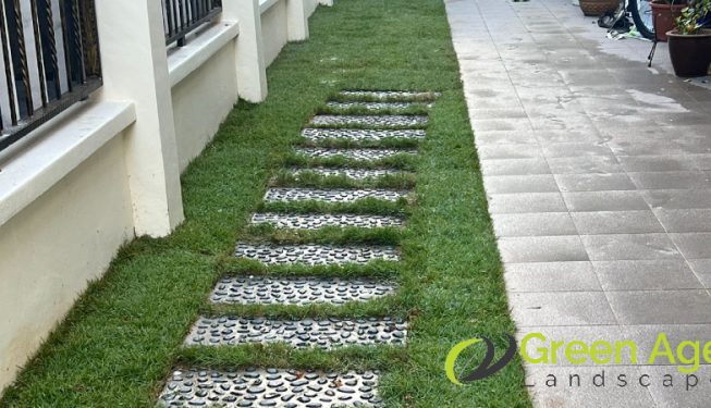 grass-turfing-greenage-landscaping-services-singapore-landed-east-coast-10
