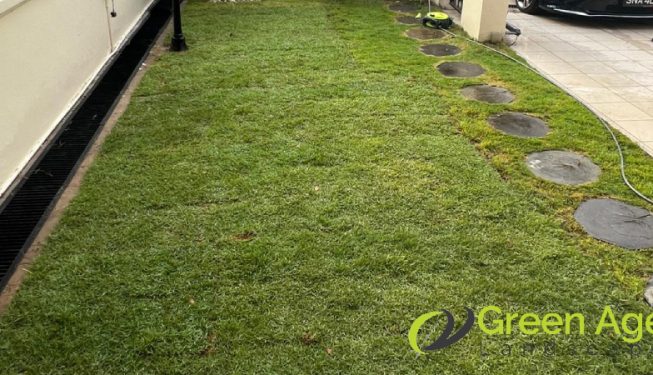 grass-turfing-greenage-landscaping-services-singapore-landed-east-coast-11