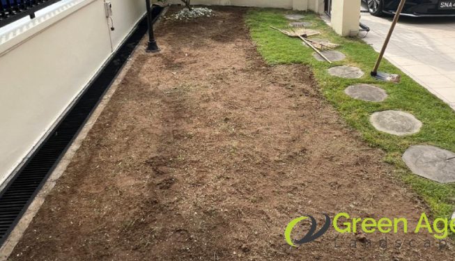 grass-turfing-greenage-landscaping-services-singapore-landed-east-coast-2