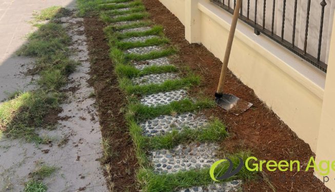 grass-turfing-greenage-landscaping-services-singapore-landed-east-coast-4