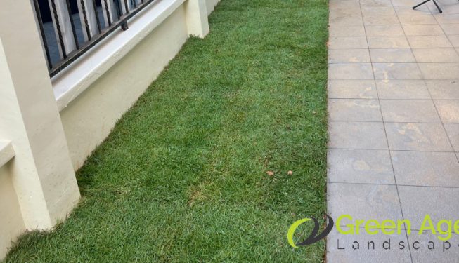grass-turfing-greenage-landscaping-services-singapore-landed-east-coast-7