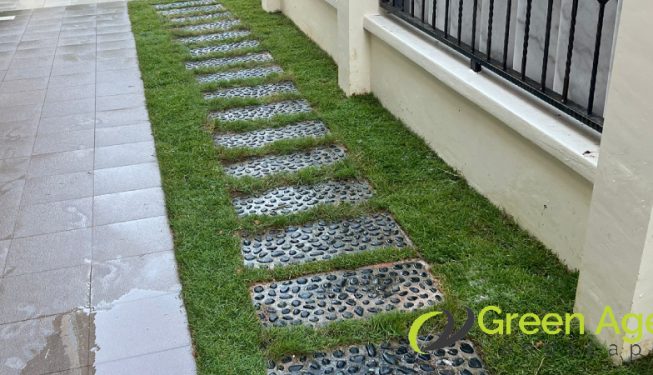 grass-turfing-greenage-landscaping-services-singapore-landed-east-coast-8