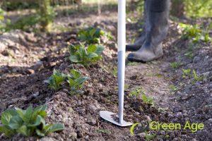 hoe-12-essential-tools-you-need-to-have-for-diy-gardening-in-singapore-gardening-services-greenage-landscaping-services-singapore