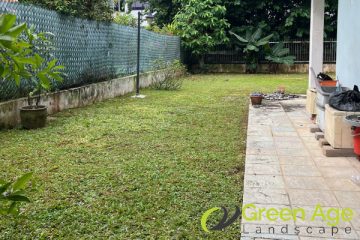 landscape-maintenance-greenage-landscaping-services-singapore-landed-clementi-1