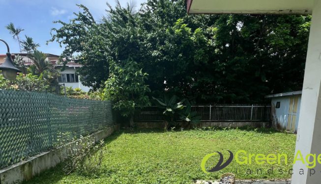 landscape-maintenance-greenage-landscaping-services-singapore-landed-clementi-2