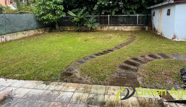landscape-maintenance-greenage-landscaping-services-singapore-landed-clementi-3