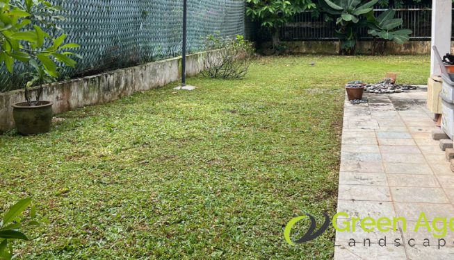 landscape-maintenance-greenage-landscaping-services-singapore-landed-clementi-5