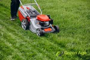 mechanical-weeding-3-weeding-techniques-for-different-types-of-landscapes-weeding-long-form-greenage-landscaping-services-singapore