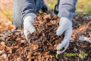 5 Watering Tips From Professional Gardening Services Experts in Singapore 4 using-mulch-5-watering-tips-from-professional-gardening-services-experts-in-singapore-gardening-services-greenage-landscaping-services-singapore