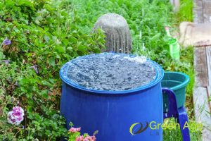 5 Watering Tips From Professional Gardening Services Experts in Singapore 3 using-rainwater-5-watering-tips-from-professional-gardening-services-experts-in-singapore-gardening-services-greenage-landscaping-services-singapore