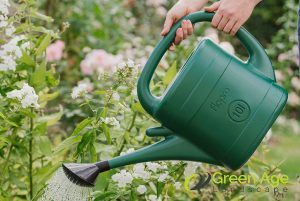 watering-can-12-essential-tools-you-need-to-have-for-diy-gardening-in-singapore-gardening-services-greenage-landscaping-services-singapore