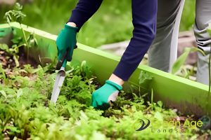 weed-removal-5-benefits-of-professional-weeding-services-long-form-greenage-landscaping-services-singapore