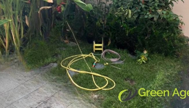 garden-maintenance-greenage-landscaping-services-singapore-landed-serangoon-5