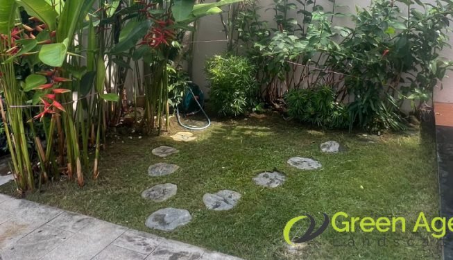 garden-maintenance-greenage-landscaping-services-singapore-landed-serangoon-6