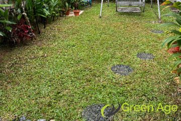 garden-maintenance-service-greenage-landscaping-services-singapore-landed-serangoon-1