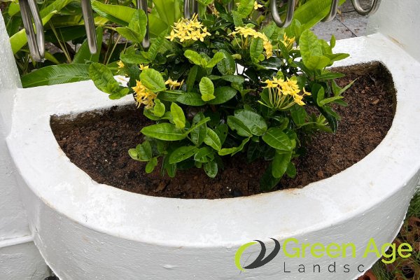 gardener-service-greenage-landscaping-services-landed-ang-mo-kio-1