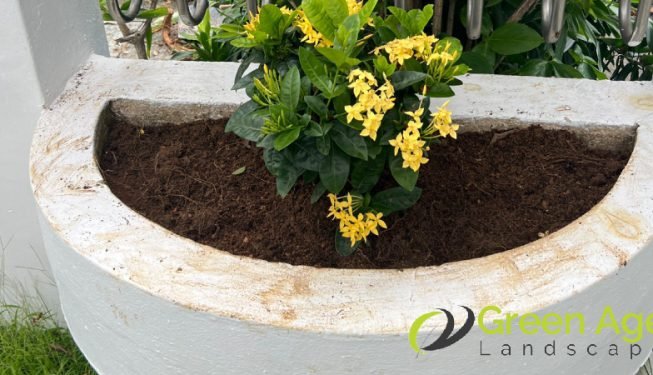 gardener-service-greenage-landscaping-services-landed-ang-mo-kio-2