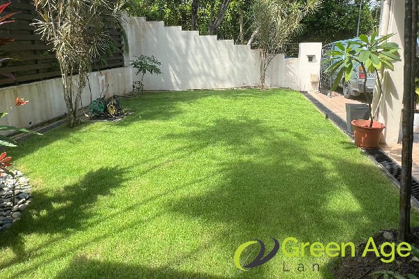 grass-cutting-greenage-landscaping-services-singapore-landed-newton-1