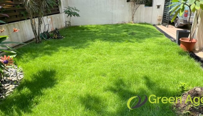 grass-cutting-greenage-landscaping-services-singapore-landed-newton-5