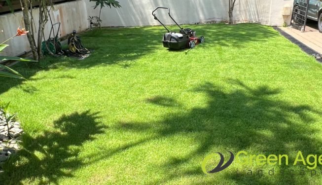 grass-cutting-greenage-landscaping-services-singapore-landed-newton-6