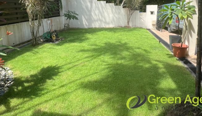 grass-cutting-greenage-landscaping-services-singapore-landed-newton-7