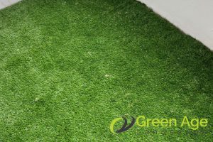 4 Key Differences Between Real And Artificial Carpet Grass For Homes In Singapore 2 aesthetic-4-key-differences-between-real-and-artificial-carpet-grass-for-homes-carpet-grass-greenage-landscaping-services-singapore