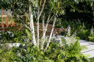 How Often Should You Conduct Tree Pruning For Your Garden In Singapore? 4 aesthetic-how-often-should-you-conduct-tree-pruning-for-your-garden-tree-pruning-greenage-landscaping-services-singapore
