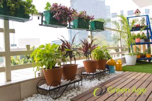 4 Things You Should Know About Maintaining a Thriving Balcony Garden in Singapore 3 balcony-space-is-more-limited-4-things-you-should-know-about-maintaining-a-thriving-balcony-garden-in-singapore-balcony-garden-greenage-lanscaping-services-singapore