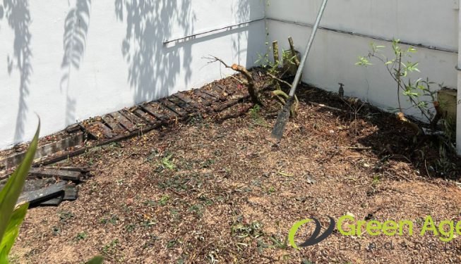 before-artificial-grass-planting-shrub-removal-services-greenage-landscape-singapore-landed-sembawang-2