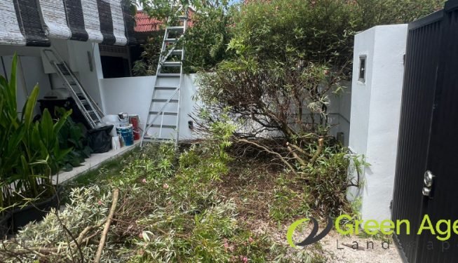 before-artificial-grass-planting-shrub-removal-services-greenage-landscape-singapore-landed-sembawang-4