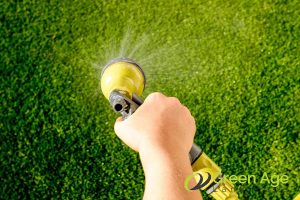 7 Essential Tips to Maintain Artificial Carpet Grass in Singapore 3 clean-with-water-7-essential-tips-to-maintain-artificial-carpet-grass-in-singapore-carpet-grass-greenage-landscaping-services-singapore