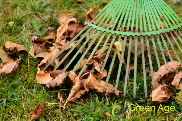 clearing-dry-leaves-greenage-landscaping-services-singapore-2