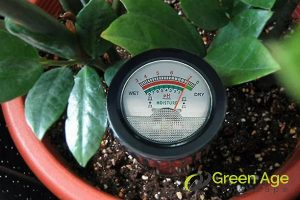 How To Preserve Soil Quality in Balcony Gardens in Singapore 3 conduct-regular-soil-testing-how-to-preserve-soil-quality-in-balcony-gardens-in-singapore-balcony-garden-greenage-landscaping-services-singapore