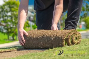 Why You Should Engage Professional Real Carpet Grass Services in Singapore 2 expertise-why-you-should-engage-professional-real-carpet-grass-services-greenage-landscaping-services-singapore