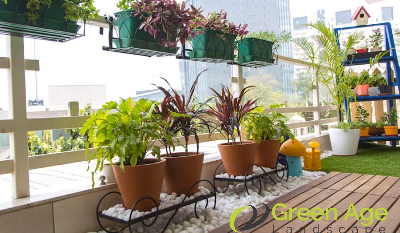 featured-balcony-garden-4-things-you-should-know-about-maintaining-a-thriving-balcony-garden-in-singapore-balcony-garden-greenage-lanscaping-services-singapore