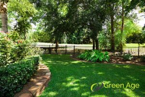 Grass Planting 70 garden-shade-how-to-select-the-right-grass-to-plant-for-your-garden-grass-planting-long-form-greenage-landscaping-services-singapore.jpg