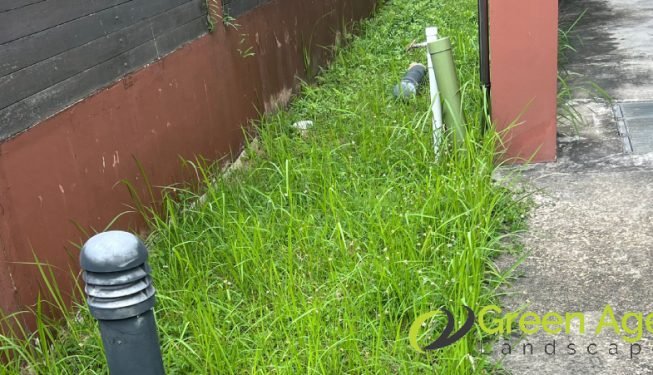 grass-cutting-greenage-landscaping-services-singapore-landed-east-coast-2