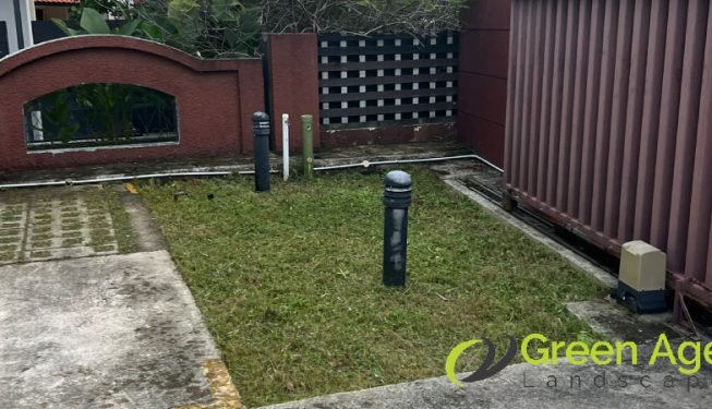 grass-cutting-greenage-landscaping-services-singapore-landed-east-coast-5