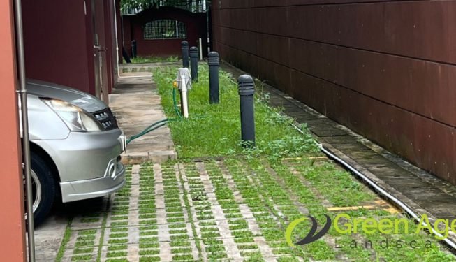 grass-cutting-greenage-landscaping-services-singapore-landed-east-coast-6