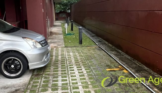 grass-cutting-greenage-landscaping-services-singapore-landed-east-coast-7