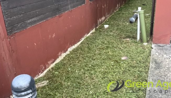 grass-cutting-greenage-landscaping-services-singapore-landed-east-coast-8